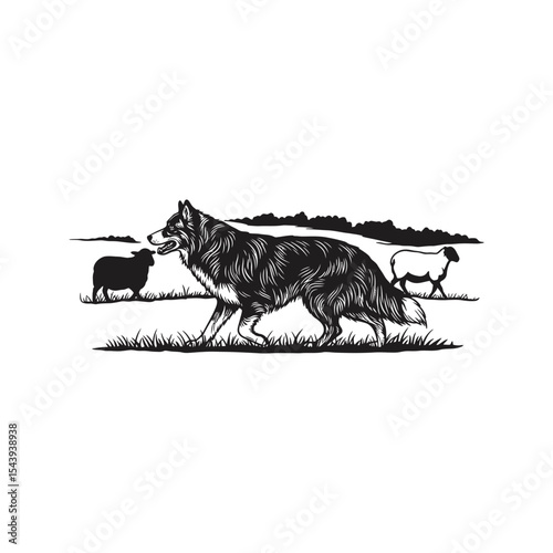 Black and white illustration of border collie herding sheep in a field