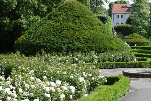 Fototapeta Naklejka Na Ścianę i Meble -  the castle of rafeld and garden