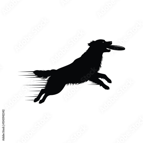 Black Silhouette of Dog Catching Frisbee Fast Motion Canine Sports Pet Action