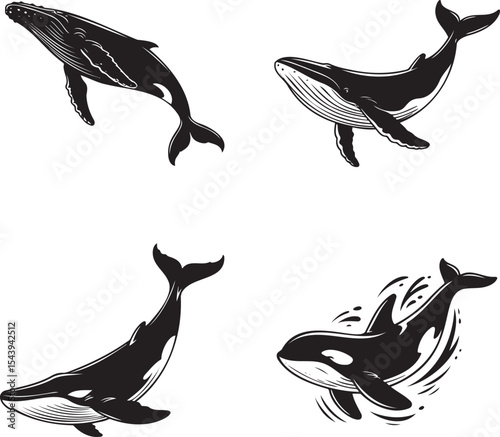 Whale silhouette set vector illustration isolated On Transparent Background