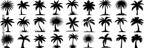 palm trees silhouette set, tropical coconut, isolated on white background