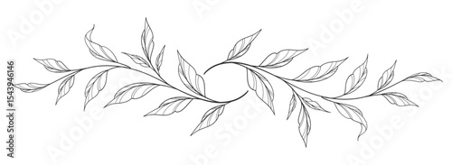floral leaves line art isolated on white background. Divider doodle leaf and flowers, nature border decorative element vector illustration