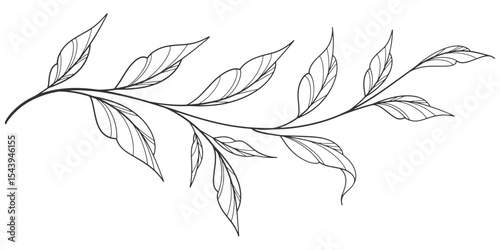 floral leaves line art isolated on white background. Divider doodle leaf and flowers, nature border decorative element vector illustration