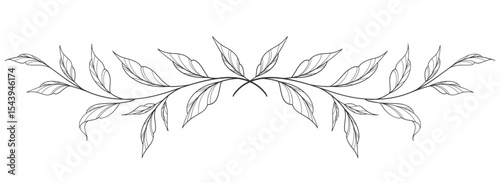 floral leaves line art isolated on white background. Divider doodle leaf and flowers, nature border decorative element vector illustration