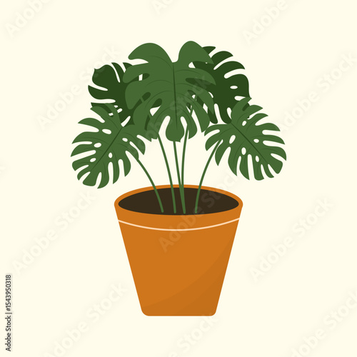 Monstera plant growing in pot. Indoor houseplant in planter. Foliage home decor. Vector illustration isolated on white background, flat style.