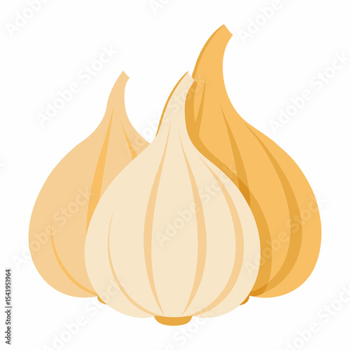 Vector art illustration of garlic