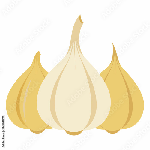 Vector art illustration of garlic