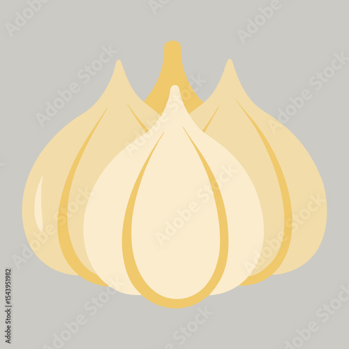 Vector art illustration of garlic