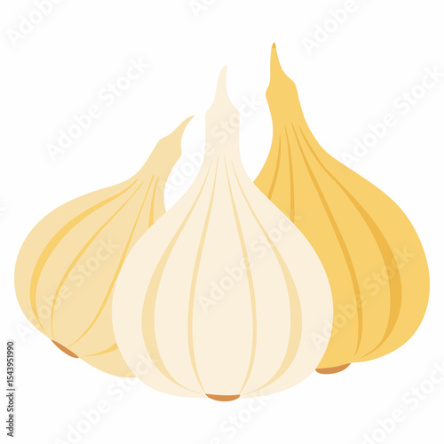 Vector art illustration of garlic