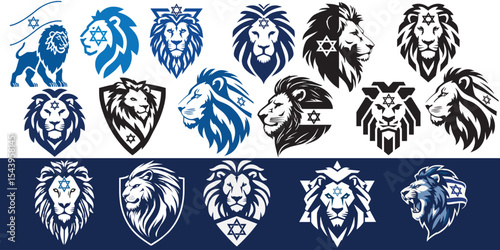 Lion with symbhol of David's star, Israeli patriotic national emblem