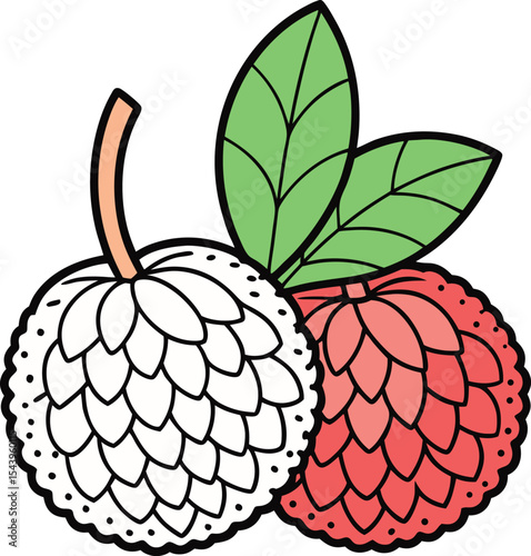 Sweet Lychee Fruits A Delightful Illustration of Tropical Delights