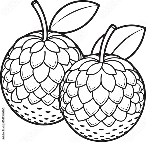 Cherimoya Fruit Line Art Illustration of Two Exotic Cherimoyas