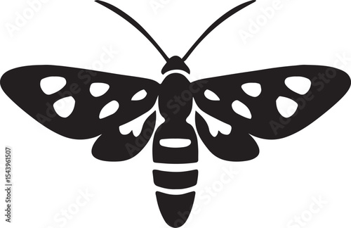 Intricate moth with patterned wings vector art, Detailed moth line drawing black and white