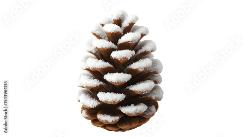 Snowy Pinecone Isolated on Transparent Background (Winter, Frost, Ice, Pine Cone, Evergreen, Conifer)