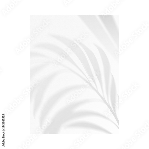 realistic soft grey shadow and effects