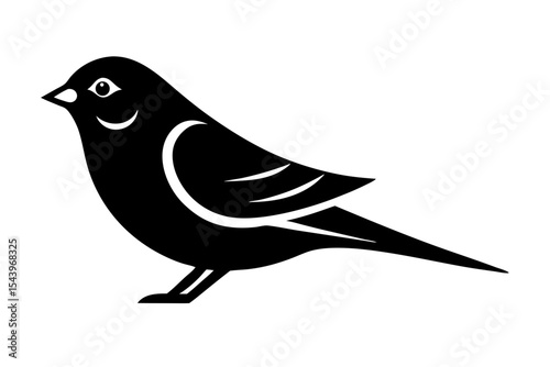 bird on a branch