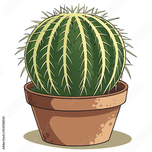 Barrel cactus has numerous sharp spines and ribs sitting in a terracotta pot