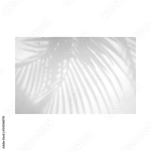realistic soft grey shadow and effects