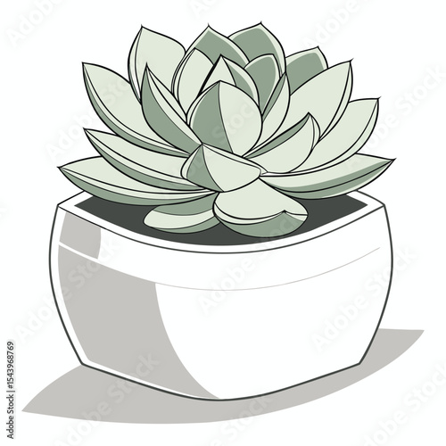 Elegant cartoon succulent rests peacefully inside a square white ceramic pot on clear background