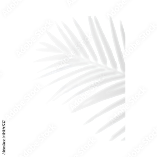 realistic soft grey shadow and effects