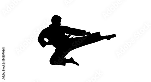 Silhouette of Martial Artist Performing High Kick in Action