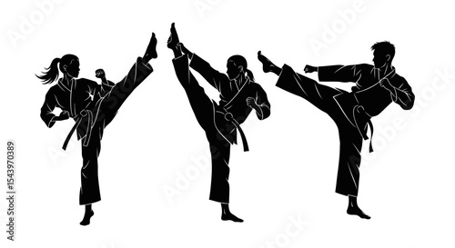 Silhouettes of Karate Practitioners in Dynamic Kicks