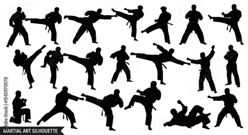 Diverse Martial Art Silhouette Collection of Karate Poses