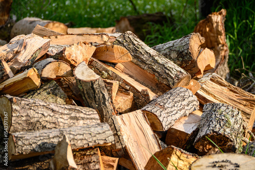 Rustic Background of a Woodpile in a Green Forest Setting. The Feeling of Autumn Gathering Wood for the Cold Season.