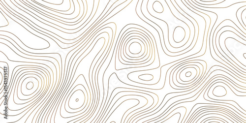 Abstract design seamless pattern with line topographic map. geographic mountain relief. retro topographic map. Topographic map background geographic line map with elevation assignments.