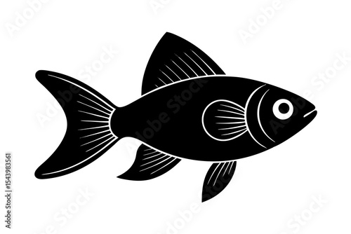 fish on a white background