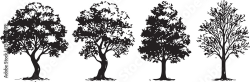 Tree silhouette vector collection, Black ink drawing