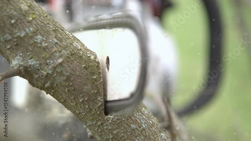 Chainsaw ripping through tree branch slow motion 4k

