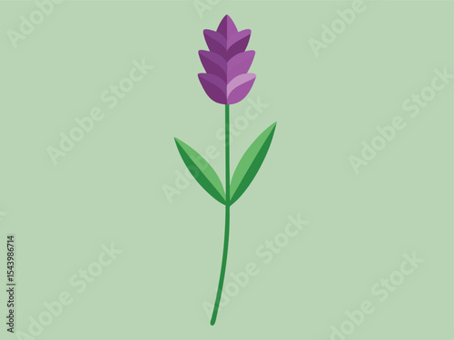 vector pink flower