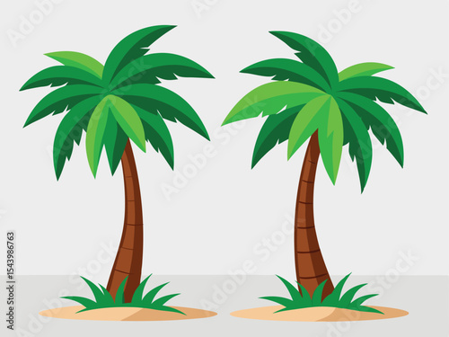 palm tree on the beach