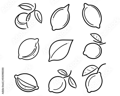Fresh lemon fruits, sliced citrus icons, yellow lemon vector illustration, juicy fruit design, cutout element, natural ingredient, vegan cooking, summer fruit, healthy food collection.
