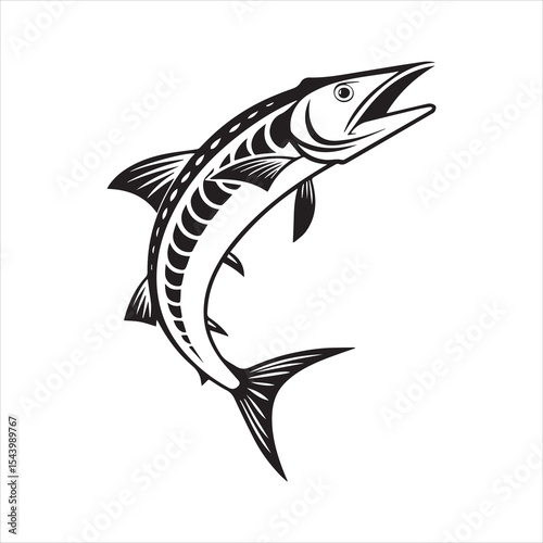 barracuda silhouette vector illustration