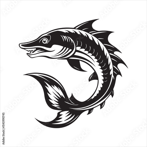barracuda silhouette vector illustration