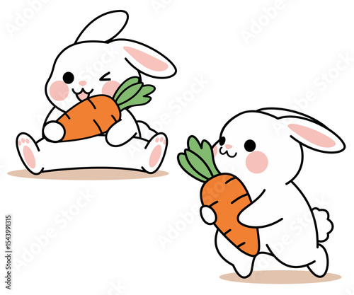 Rabbit Illustration vactor, Set for Rabit, rabbit vector set