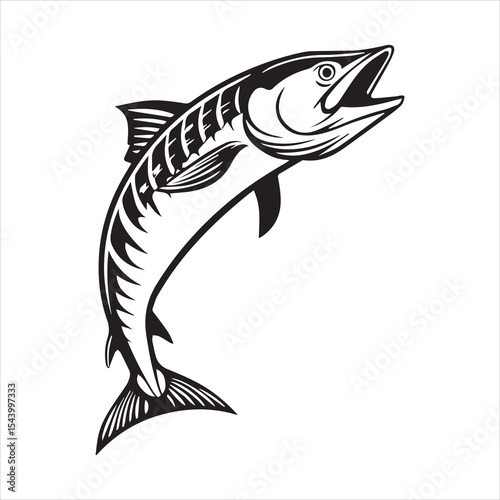 barracuda silhouette vector illustration