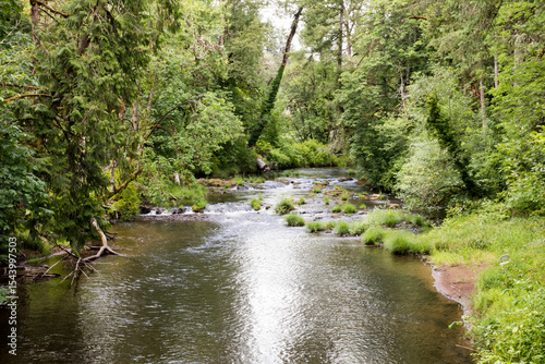 USA, Oregon, Lane County. Fall Creek.