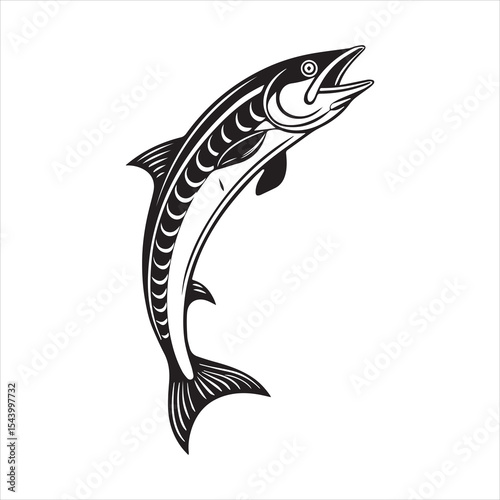 barracuda silhouette vector illustration
