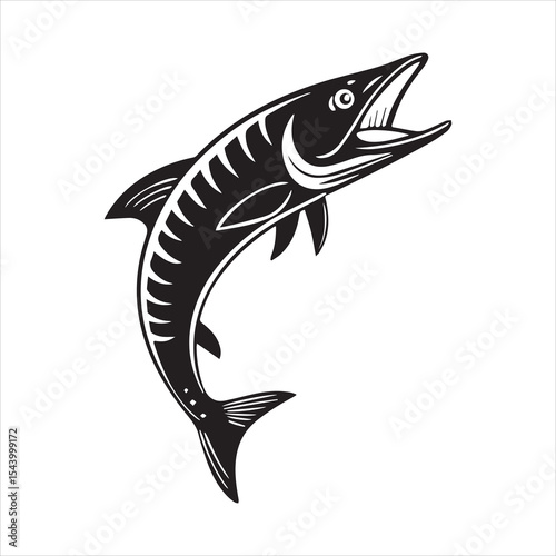 barracuda silhouette vector illustration
