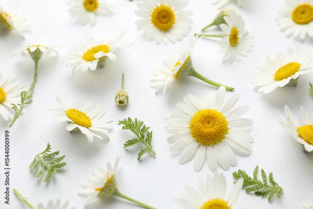 Obraz premium Beautiful chamomile flowers and green leaves on white background, above view