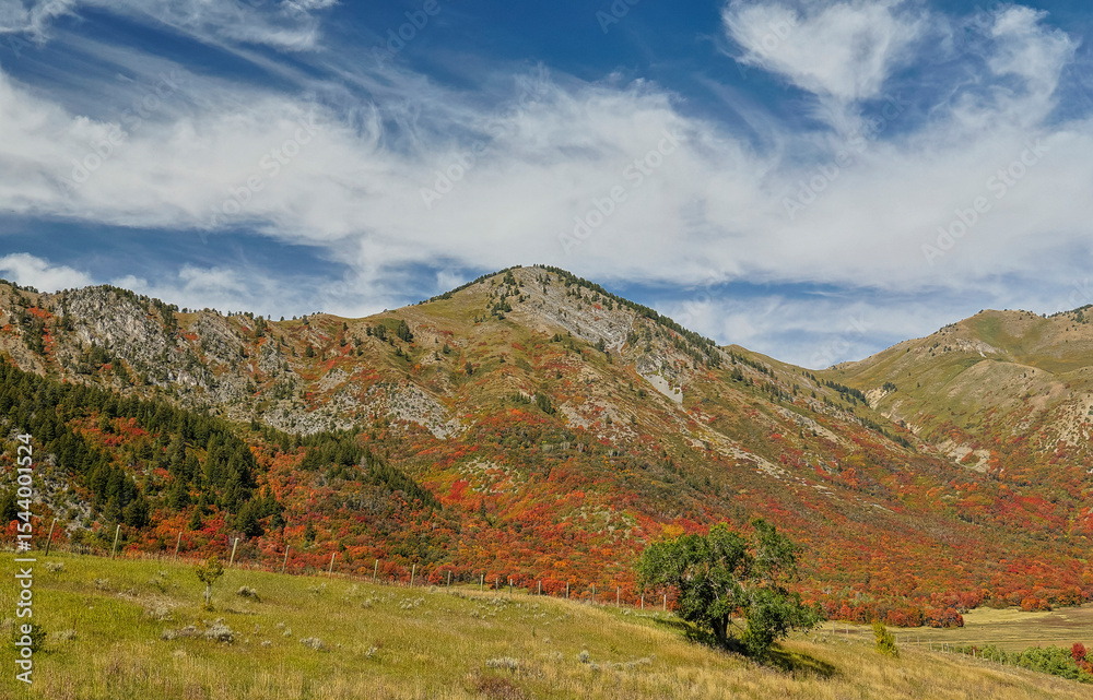 Naklejka premium USA, Utah. East of Brigham City near Wellsville with mountain range covered in canyon maple in reds of fall color.
