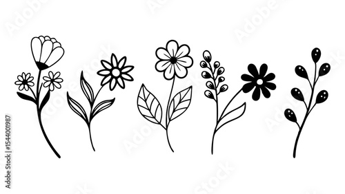 Minimal Botanical Floral Line Art Pack
