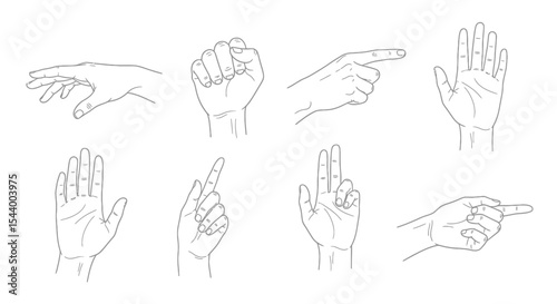 Monochrome vector sketch of human hands in various gestures, detailed hand-drawn anatomical illustration with expressive linework