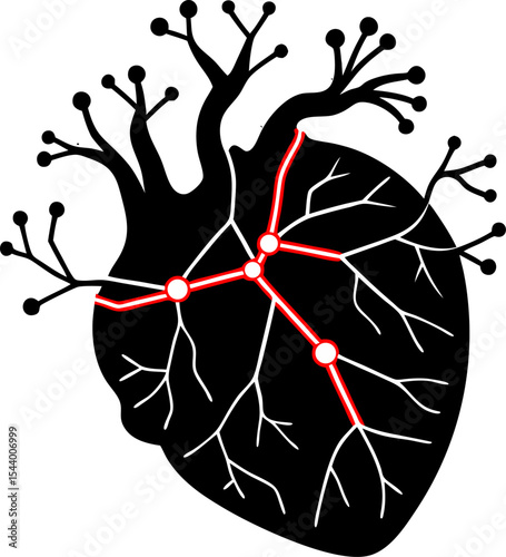 vector illustration of a heart