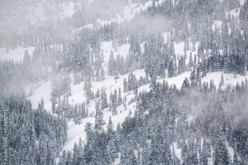 USA, Wyoming, Grand Teton National Park, Jackson. Detail of 25 Short, a Teton...