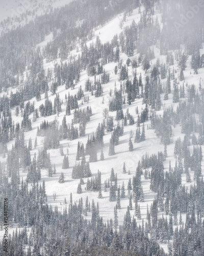 USA, Wyoming, Grand Teton National Park, Jackson. Detail of 25 Short, a Teton...