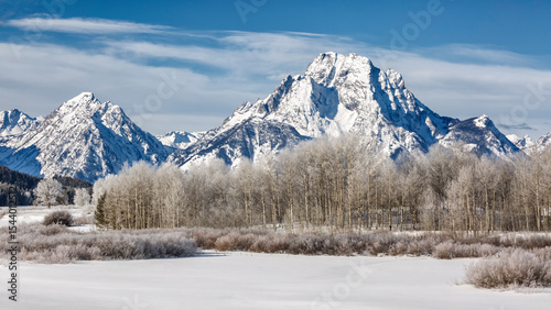 USA, Wyoming, Jackson. Grand Teton National Park, Mount Moran and frost-laden trees at Oxbow Bend on a sunny morning